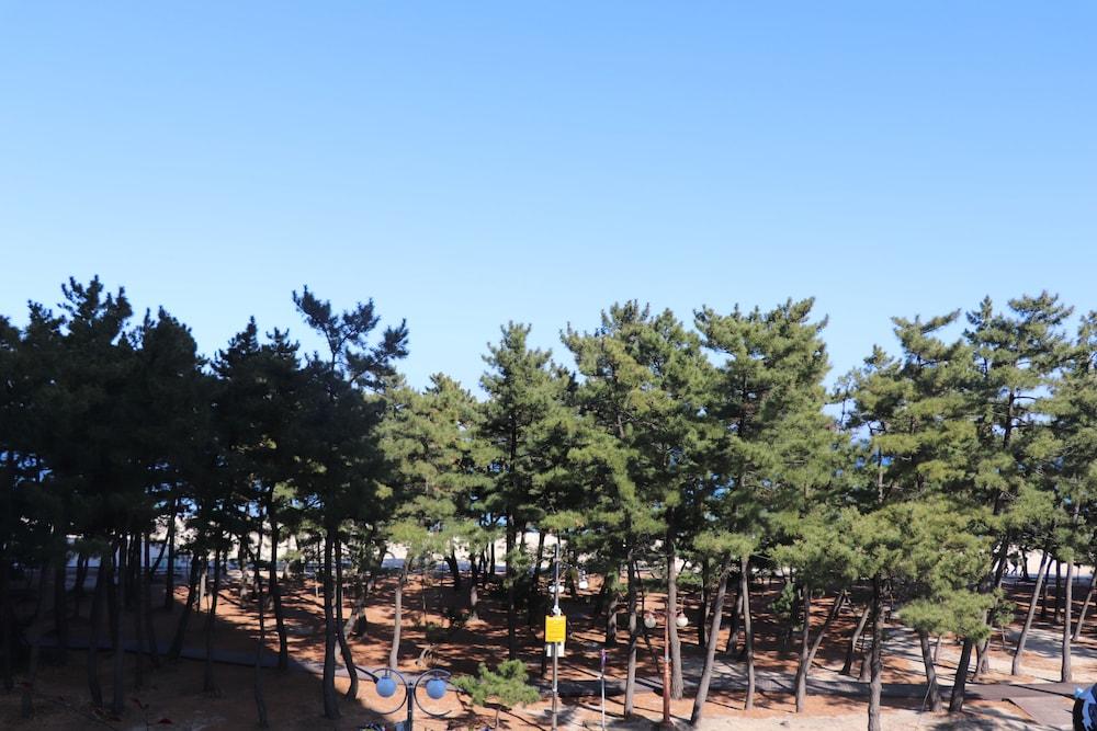 Skybay Gyeongpo Hotel Gangneung